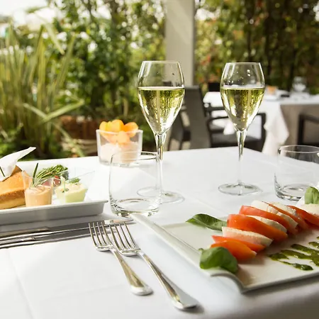 Hotel Palace Desenzano
