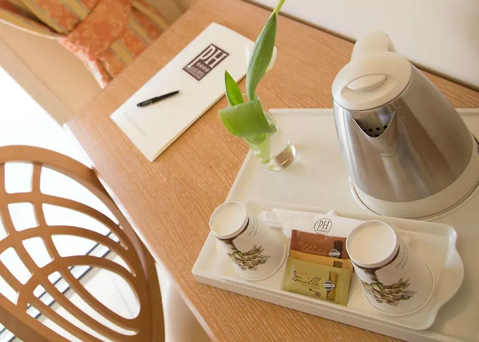 Palace Desenzano Hotel