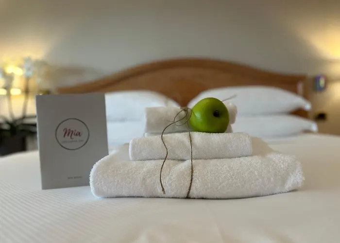 Palace Desenzano Hotel Desenzano del Garda