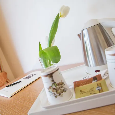 Palace Desenzano Hotell