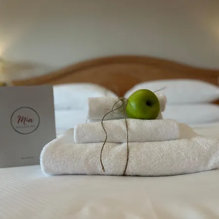 Palace Desenzano Hotell Desenzano del Garda